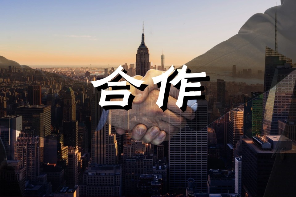大禹网络